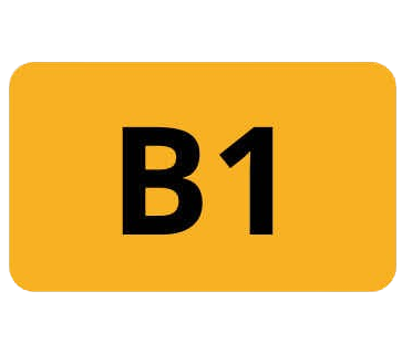 Logo B1